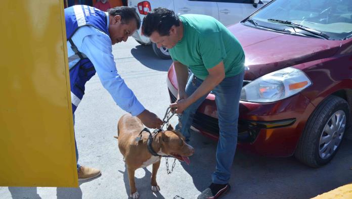 Crece la demanda de atención a mascotas