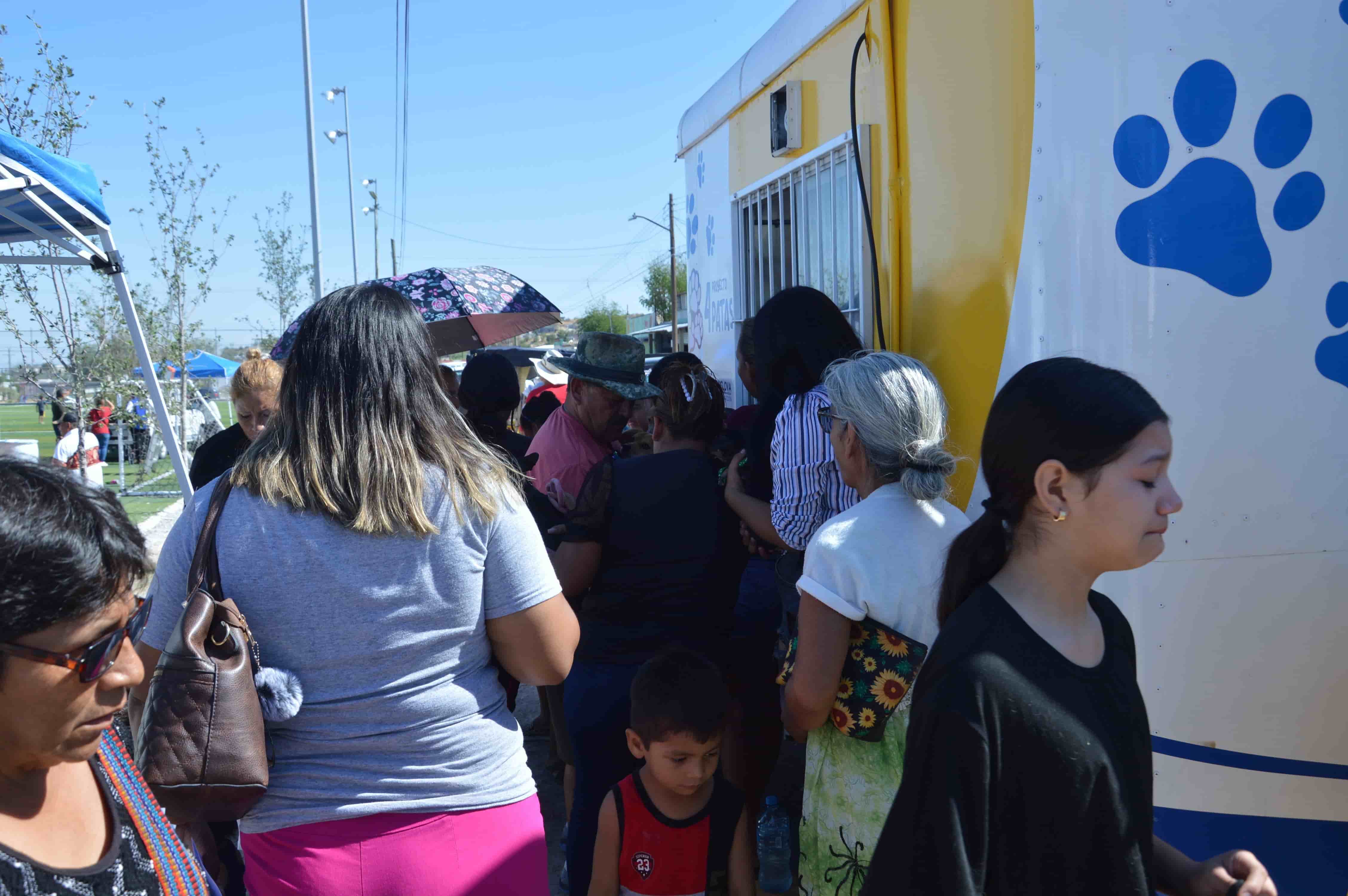 Crece la demanda de atención a mascotas