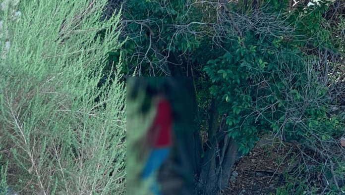 Se quita la vida joven de 28