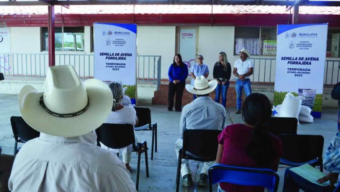 Inicia programa de semilla de Avena