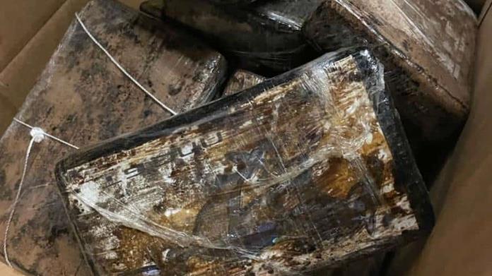 Decomisan cocaína por $500 mil USD en el Puente #2 Decomisan cocaína por $500 mil USD en el Puente #2