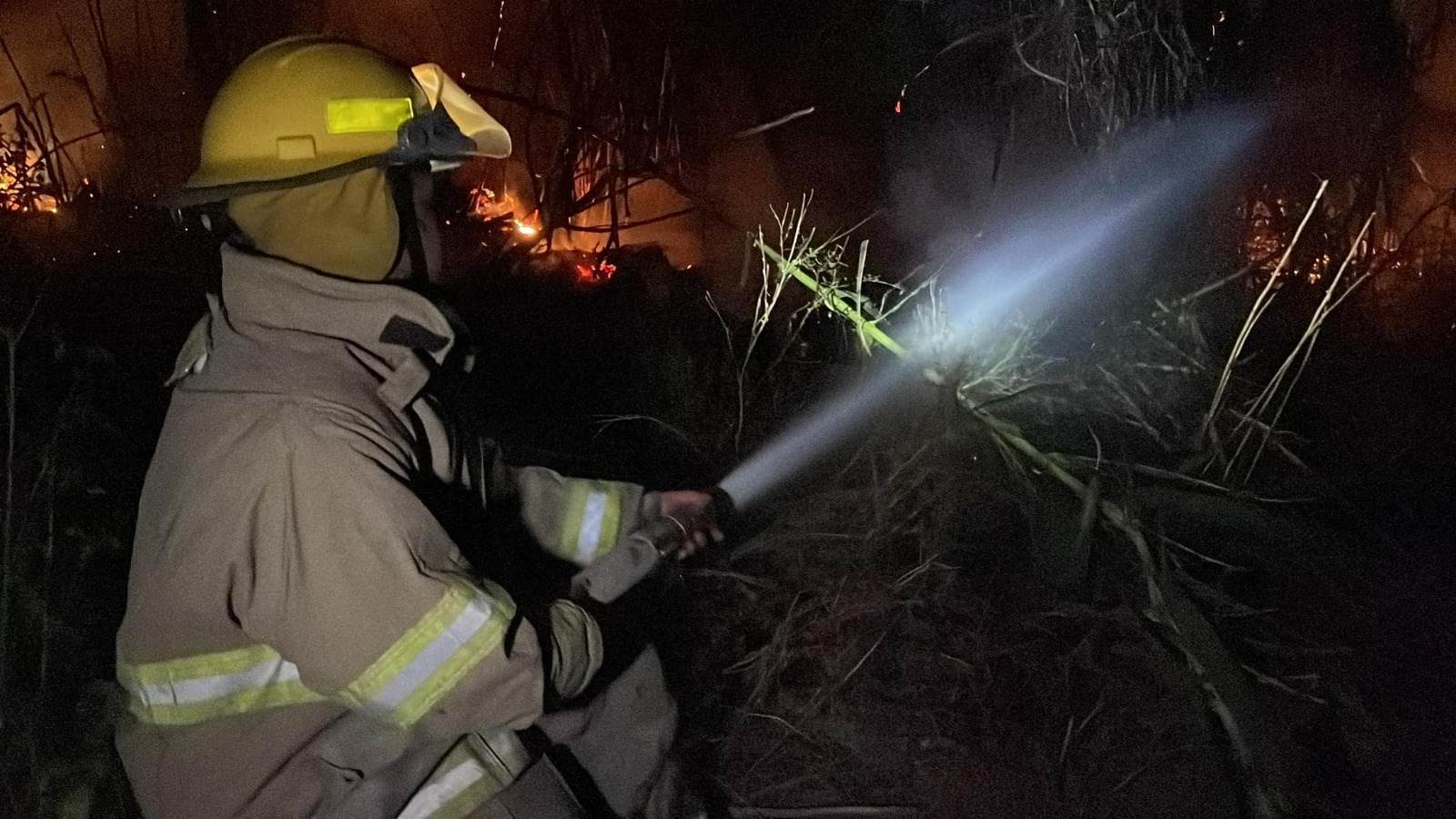 Controlan incendio forestal bomberos de Allende