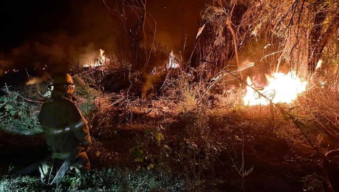 Controlan incendio forestal bomberos de Allende