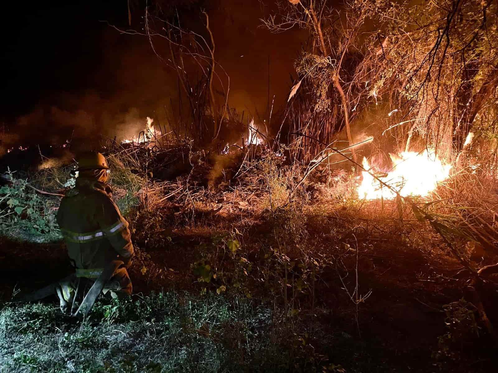 Controlan incendio forestal bomberos de Allende