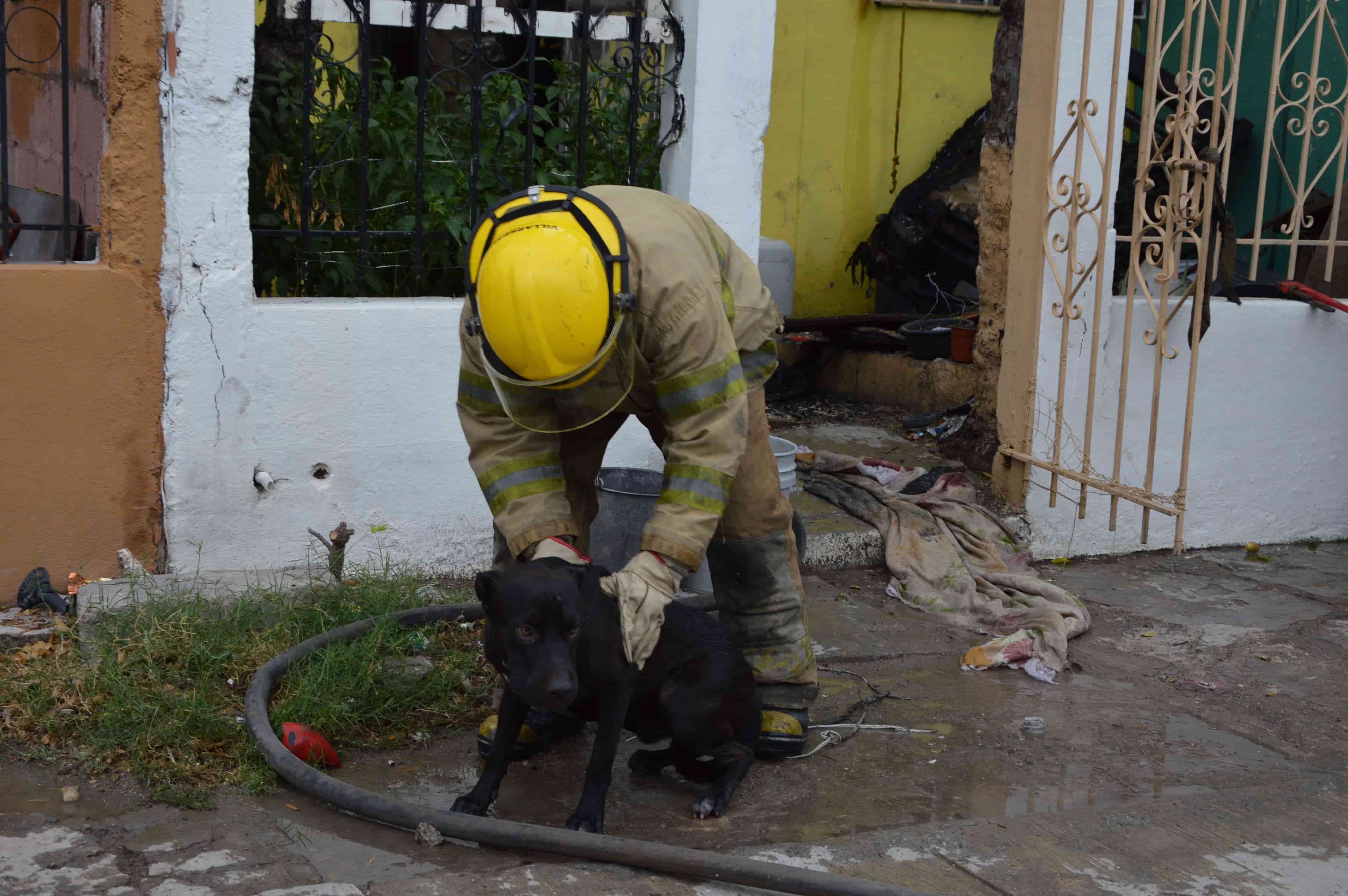 Arde casa con mujer adentro