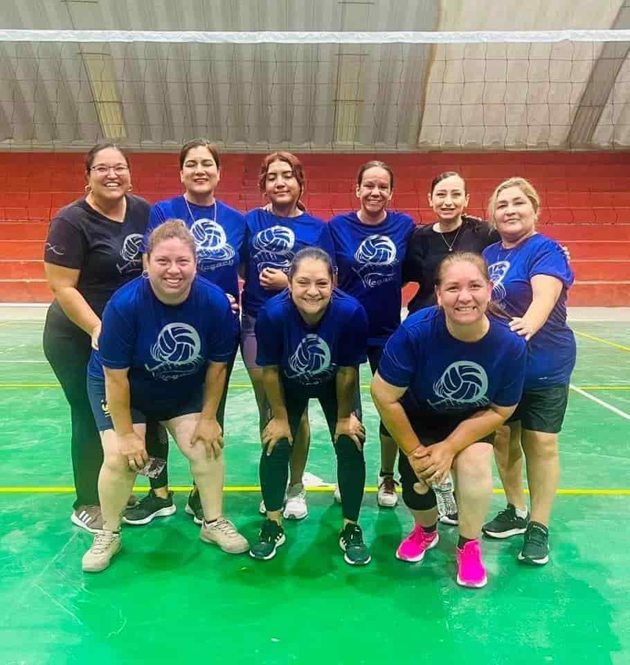 Liga autentica de voleibol