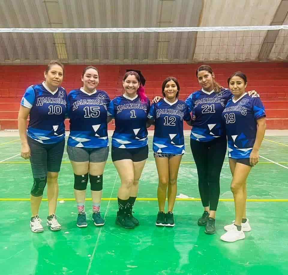 Liga autentica de voleibol