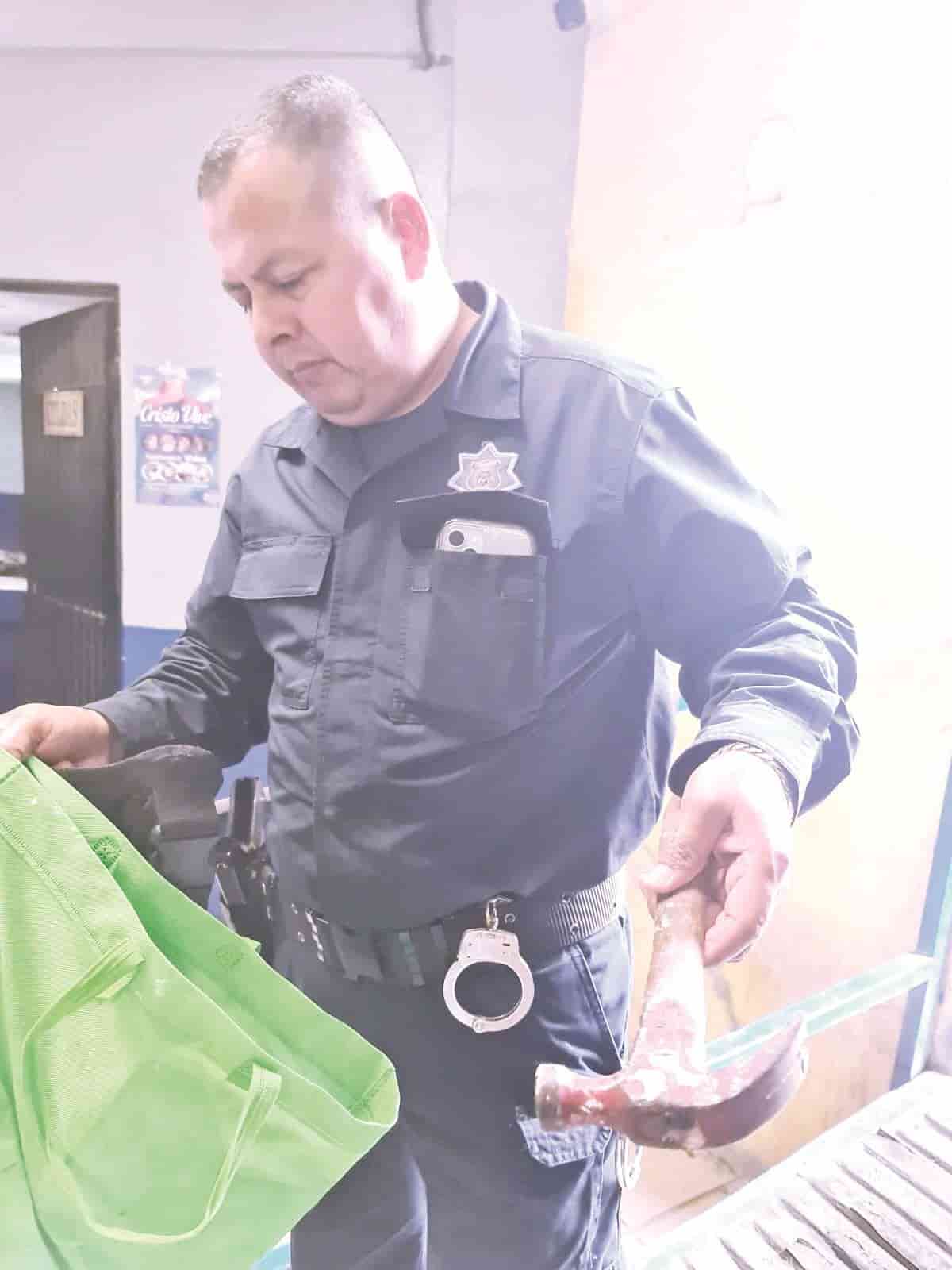 Noquea a perro de un martillazo
