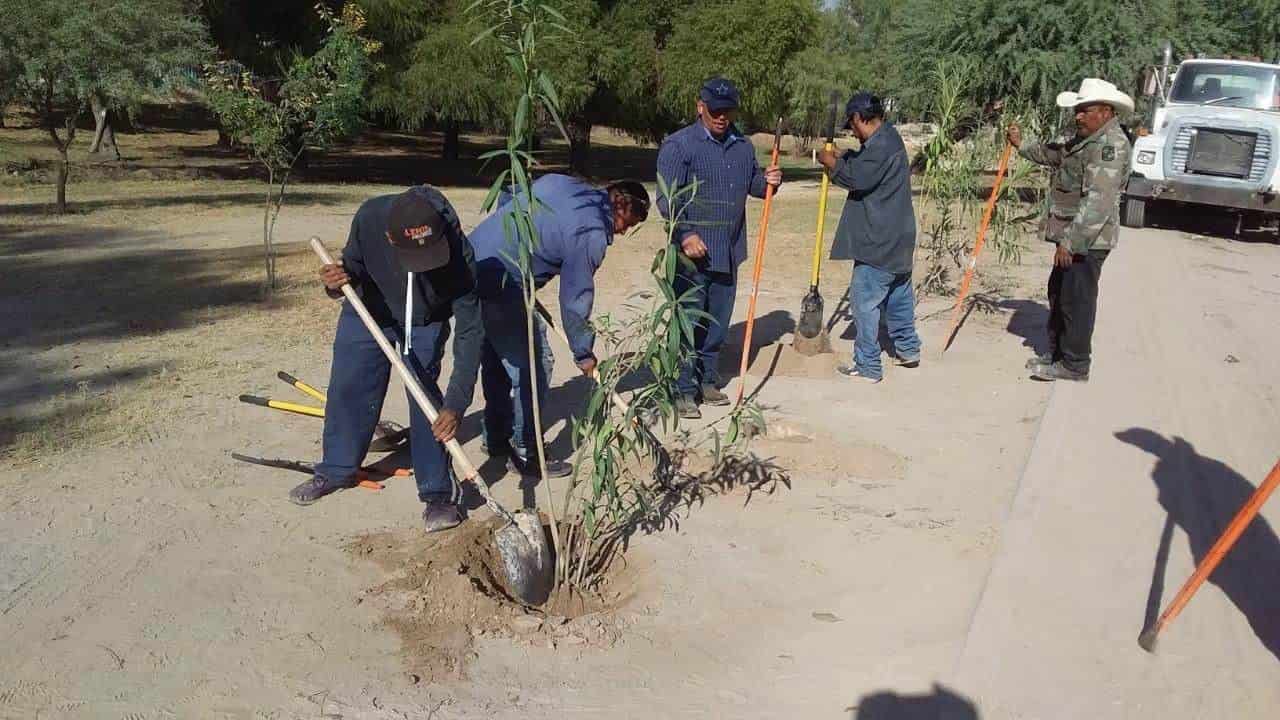 Reforestan parque Braulio Fernández