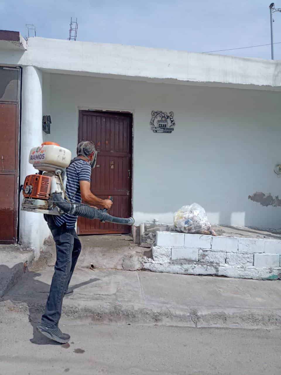 Incrementan fumigaciones contra la rickettsia 