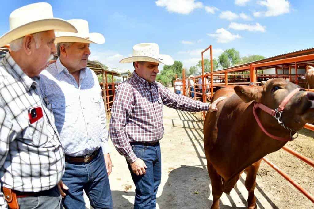 Logra Coahuila acreditación para exportación de ganado