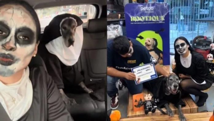 Perrito y su dueña ganan concurso disfrazados de La Monja