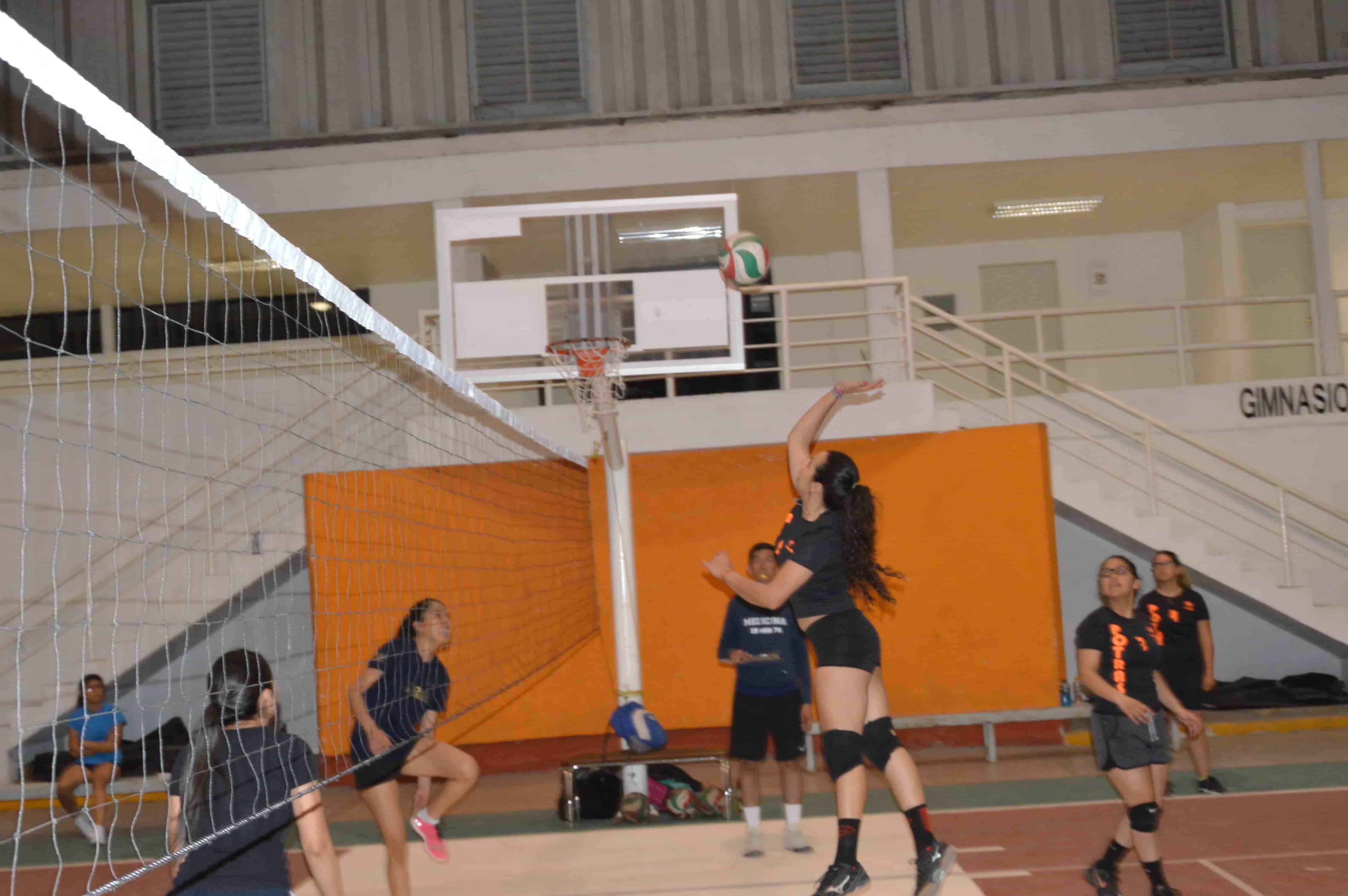 Galería deportiva en la temporada de voleibol