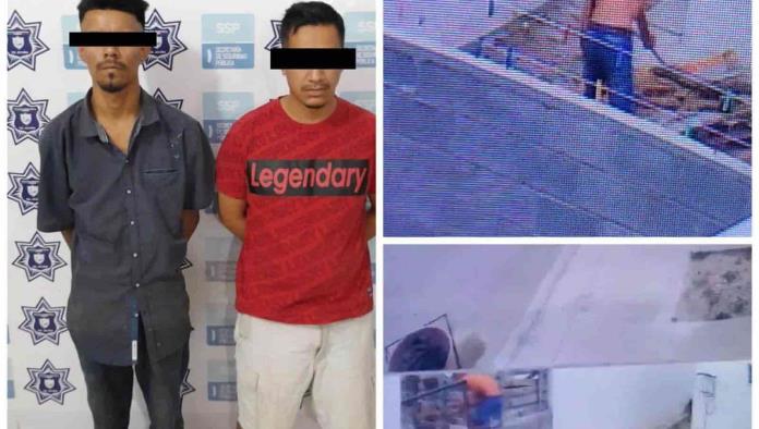 Detienen a famosos ladrones de Colinas del Valle