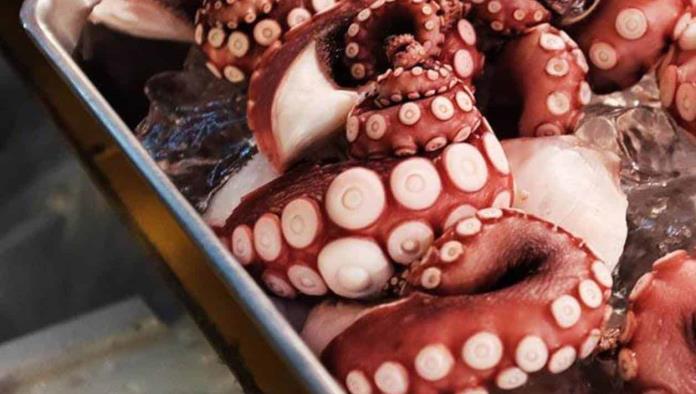 ¿Karma?; Hombre muere tras comerse un pulpo vivo en Corea del Sur