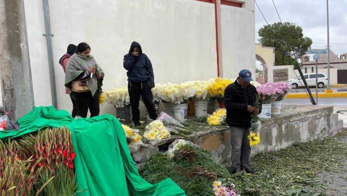 Llegan floristas foráneos