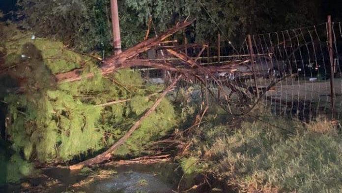 Tormenta deja SEVEROS DAÑOS en Morelos