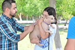 Inician registros para la campaña de ESTERILIZACIÓN