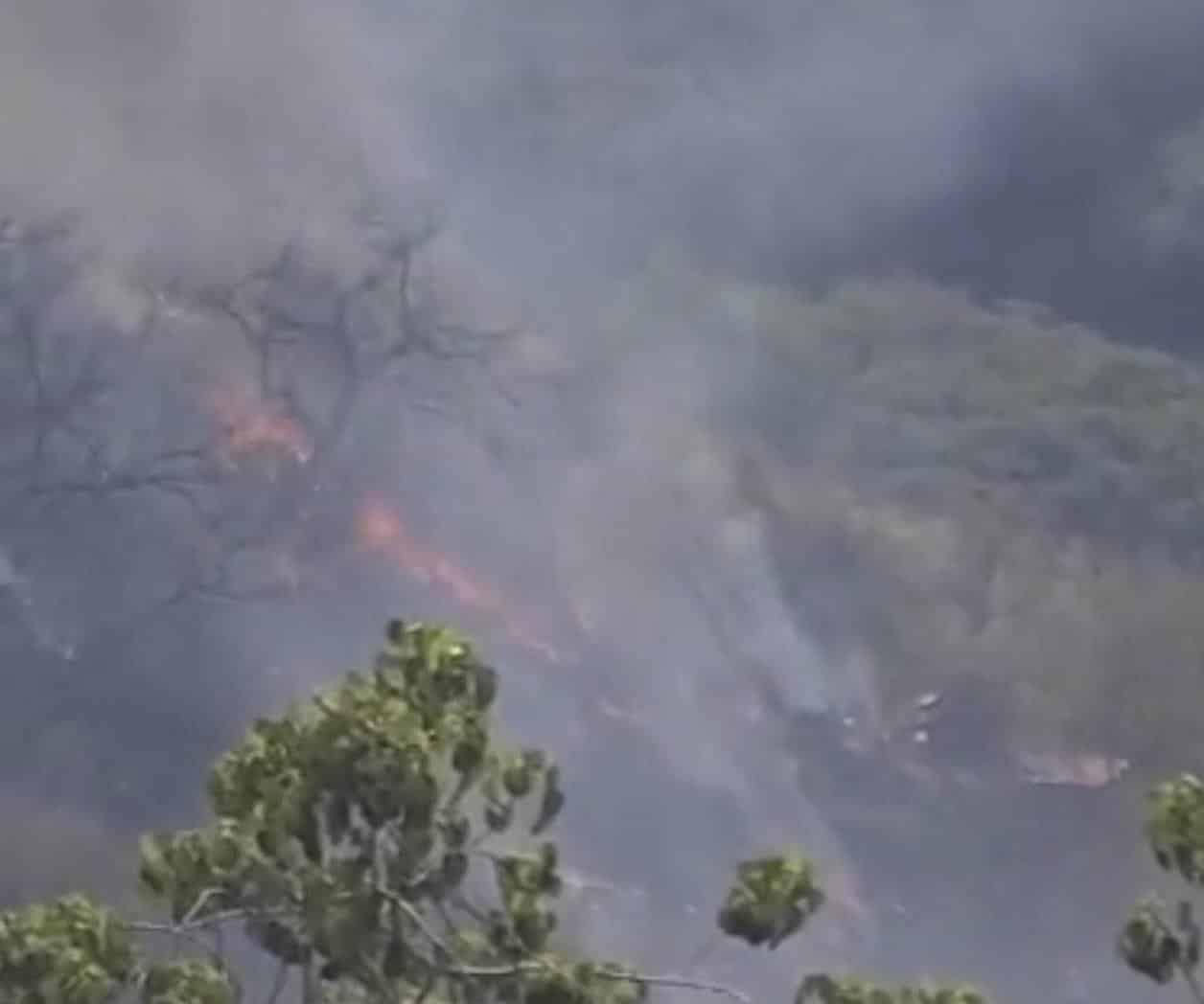 Se desploma avioneta en Morelos