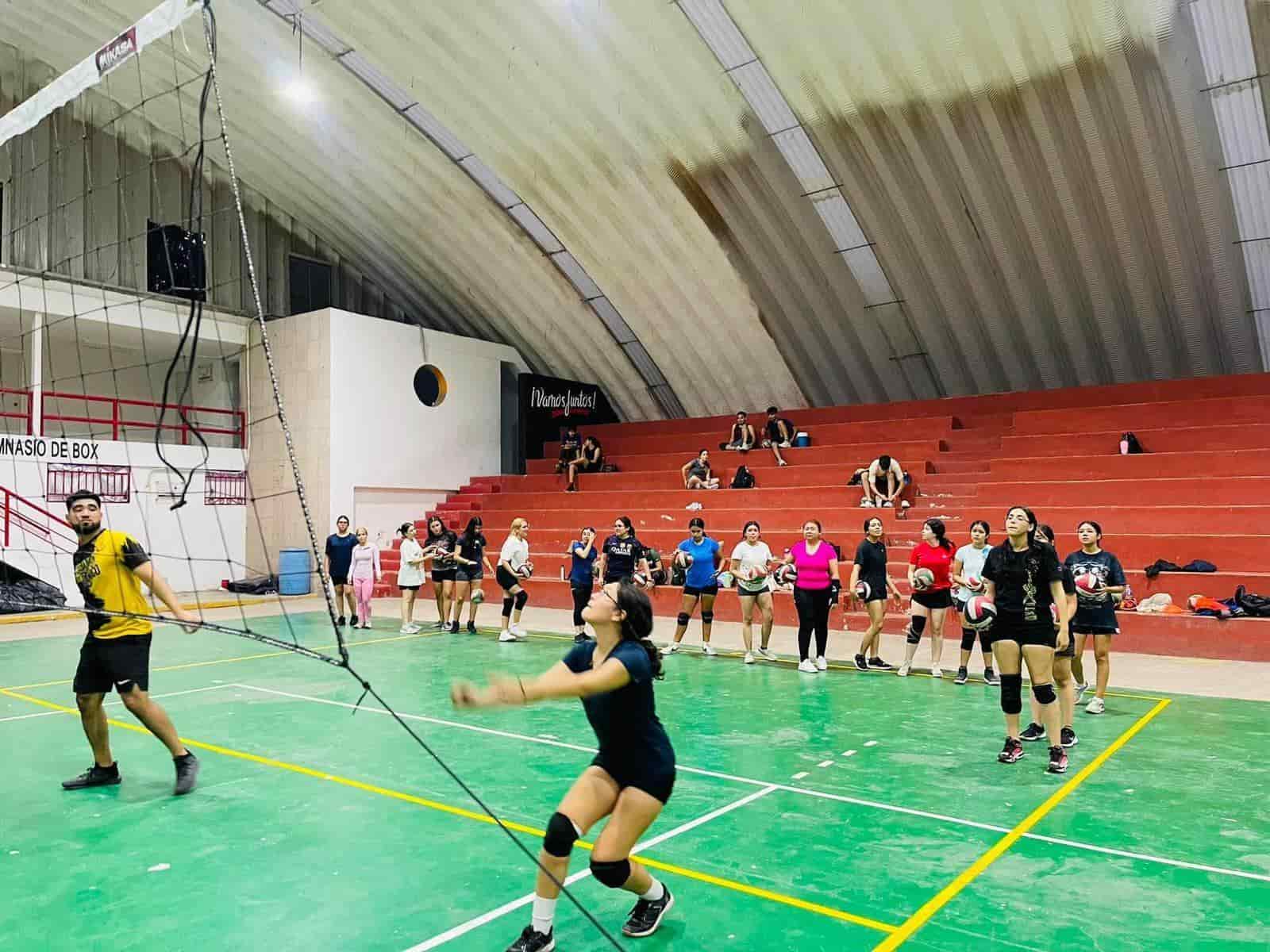 Continúan las actividades en academia de voleibol