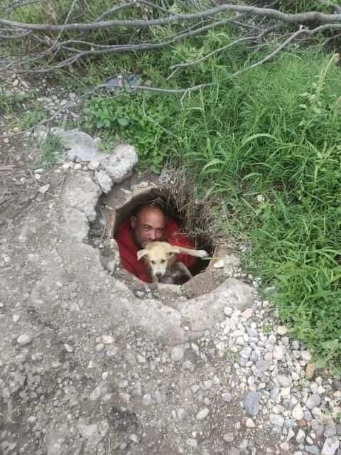 Cae perro a en alcantarilla Cae perro a en alcantarilla
