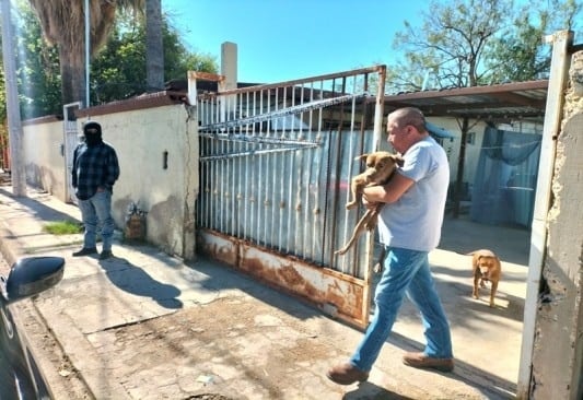 SIN DENUNICA por ataque de PERROS a adulto mayor de 90 años