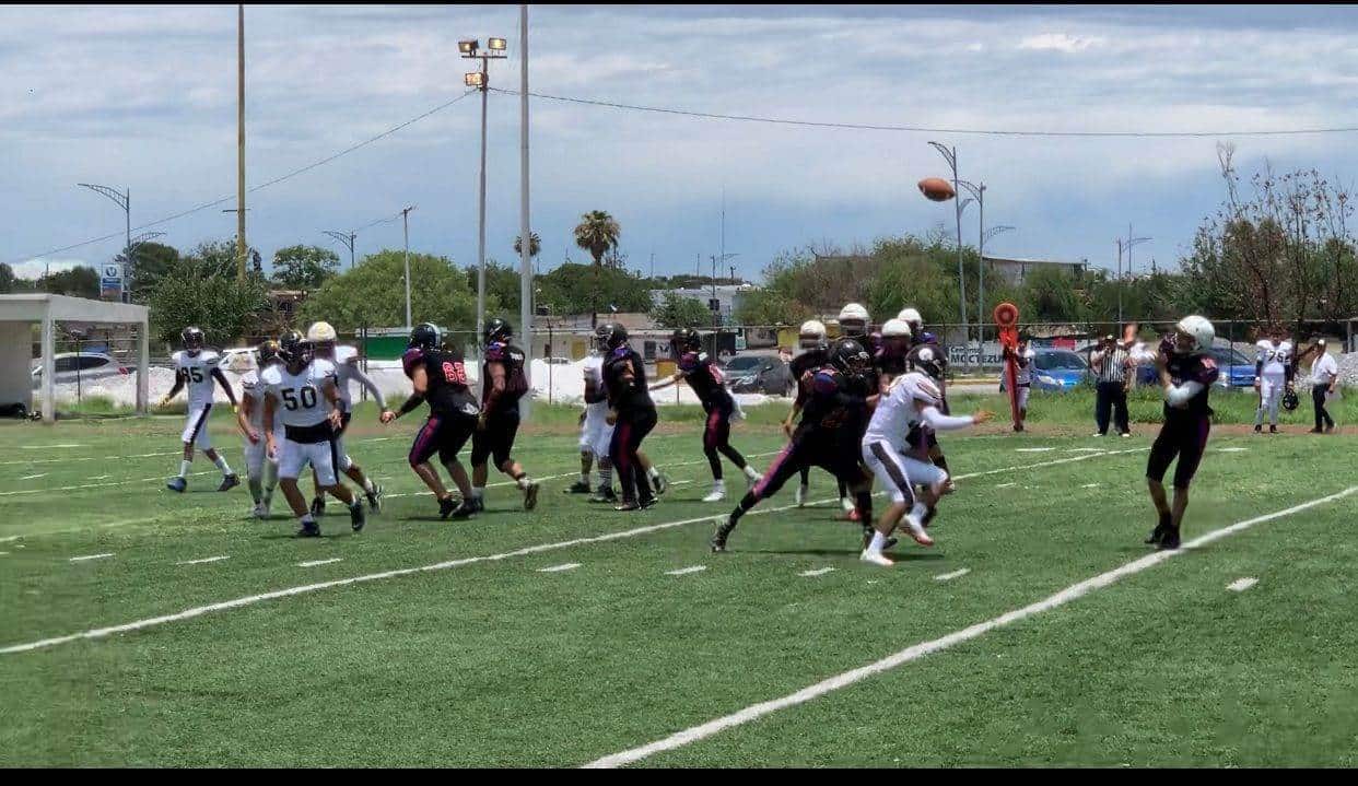 Halcones doma a Panteras