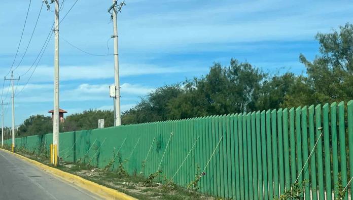 Reforestan el “Braulio Fernández”