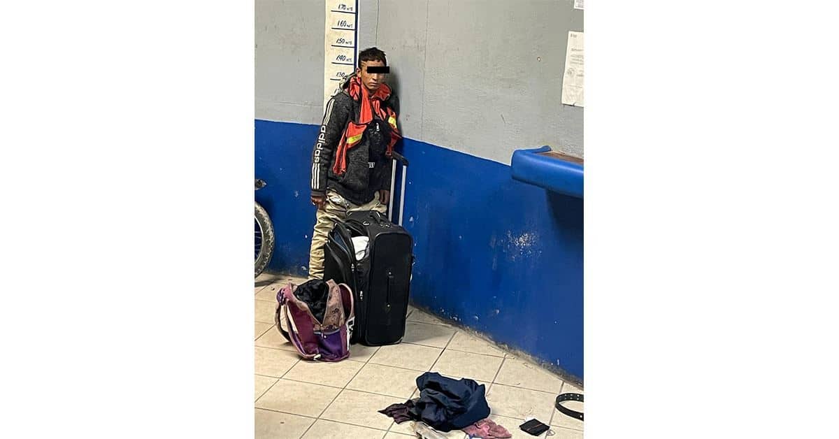 Capturan a rata drogada al saquear casa en Los Pinos