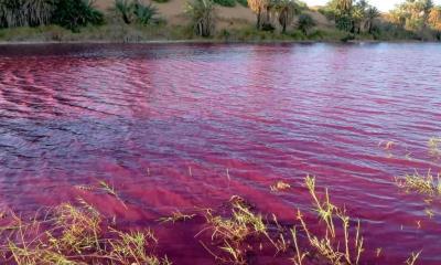 Aguas del río nilo se tiñen de rojo y desata teorías conspirativas