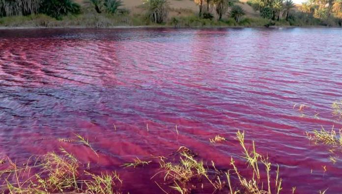 Aguas del río nilo se tiñen de rojo y desata teorías conspirativas