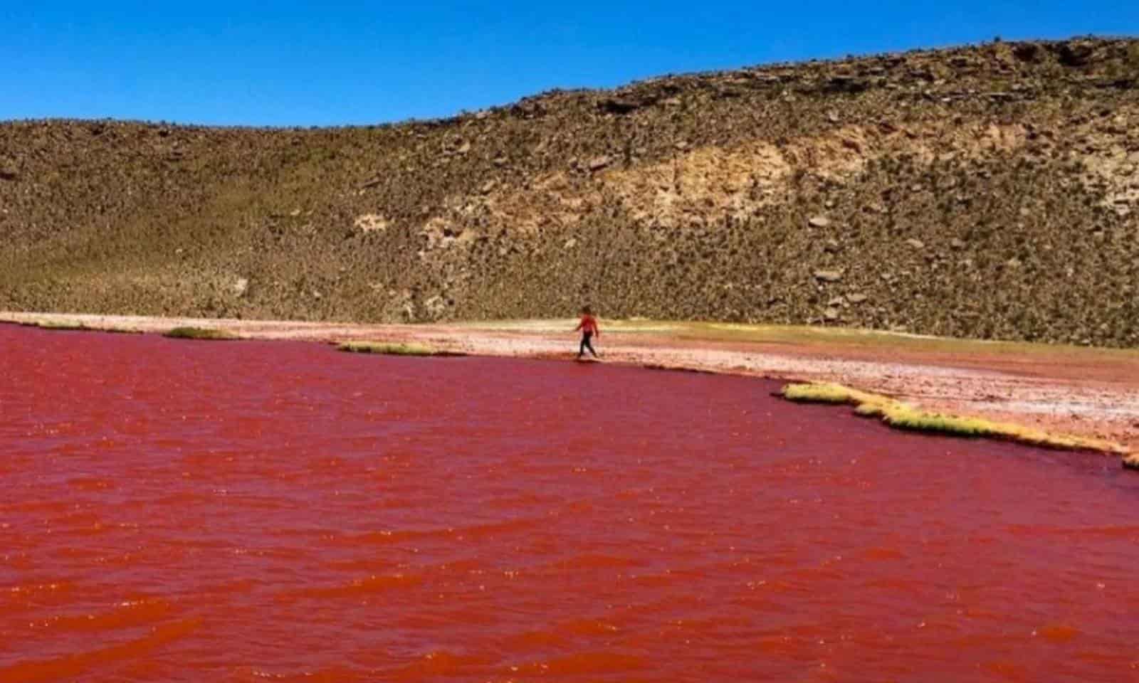 ¿Qué paso? El Río Nilo se tiñó de rojo en Egipto