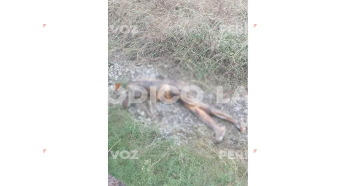 No identifican cadáver del riel No identifican cadáver del riel