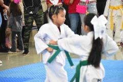 Celebra San Buena torneo de taekwondo