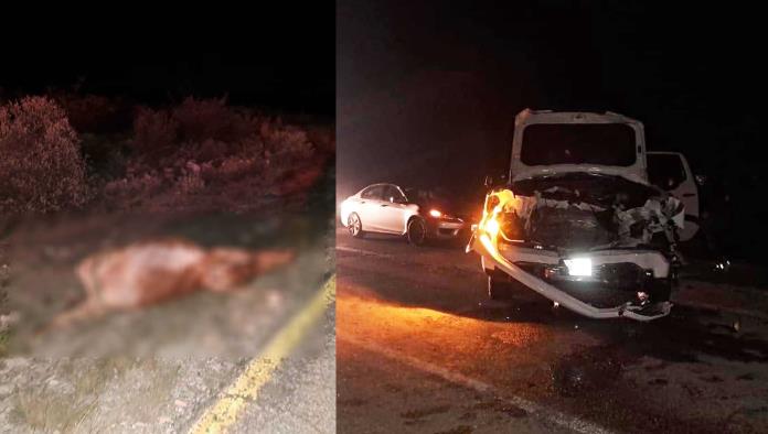Camioneta SE ESTAMPA contra semoviente en autopista Premier