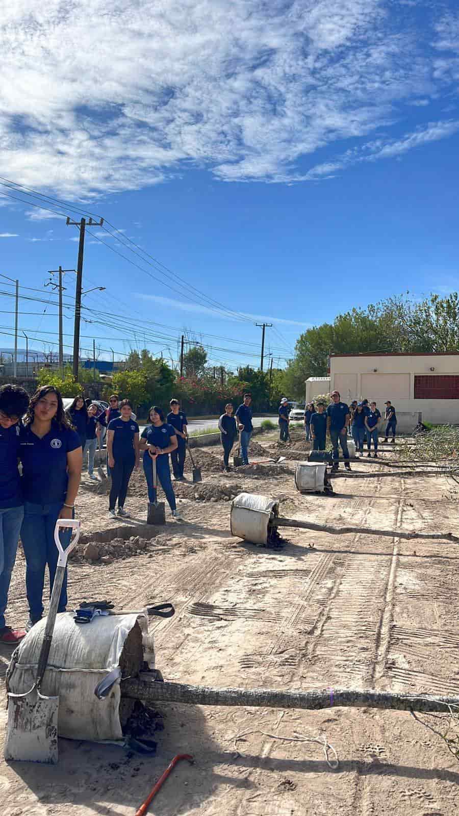 Reforestarán Colonia Jardines del Valle