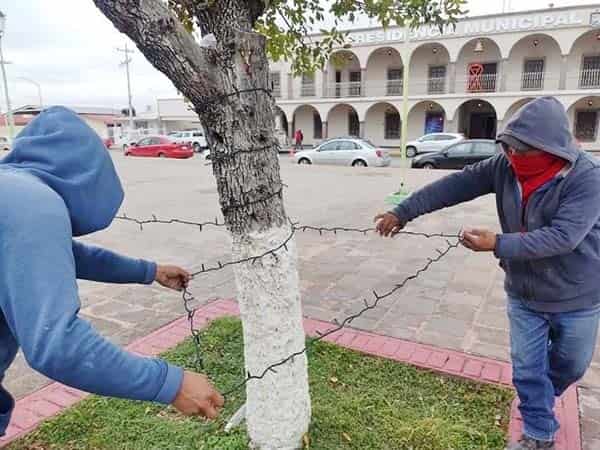 Prepara Frontera caravana navideña