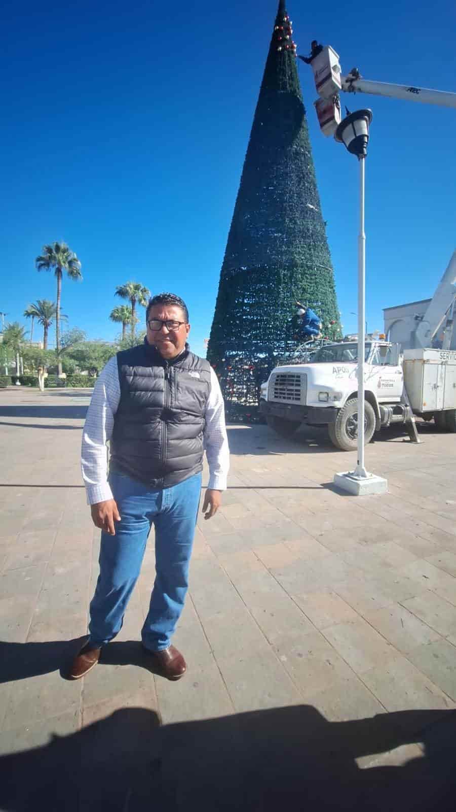 Supervisa Alcalde instalación de pino