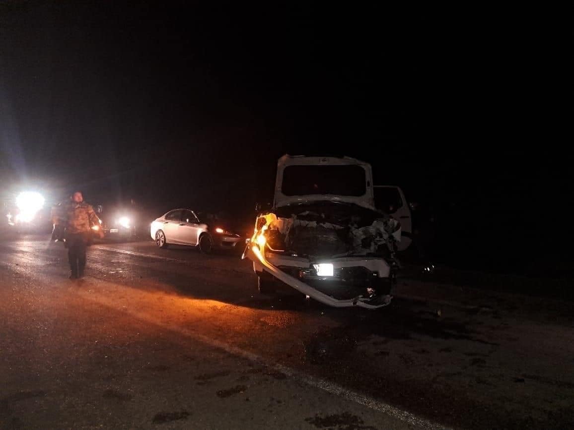 Camioneta SE ESTAMPA contra semoviente en autopista Premier
