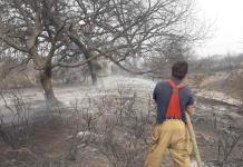 Amplían actividades de la brigada de incendios forestales en Zaragoza