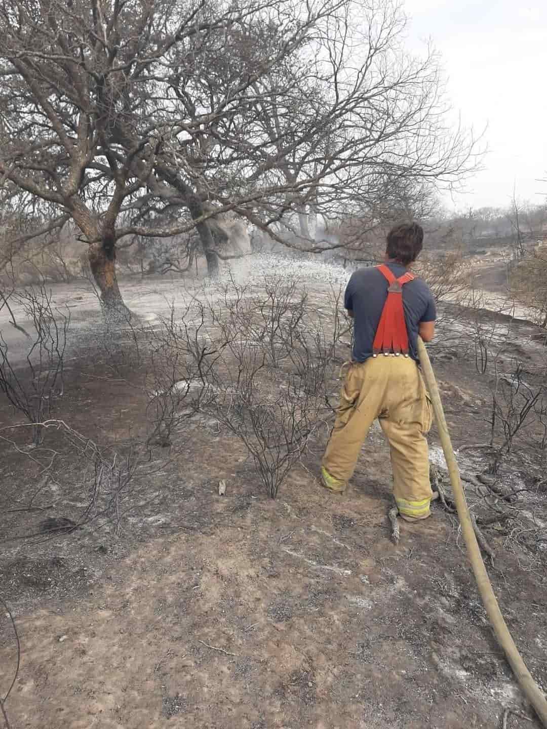 Amplían actividades de la brigada de incendios forestales en Zaragoza
