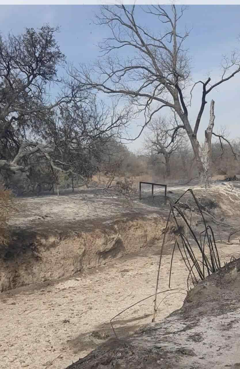 Amplían actividades de la brigada de incendios forestales en Zaragoza
