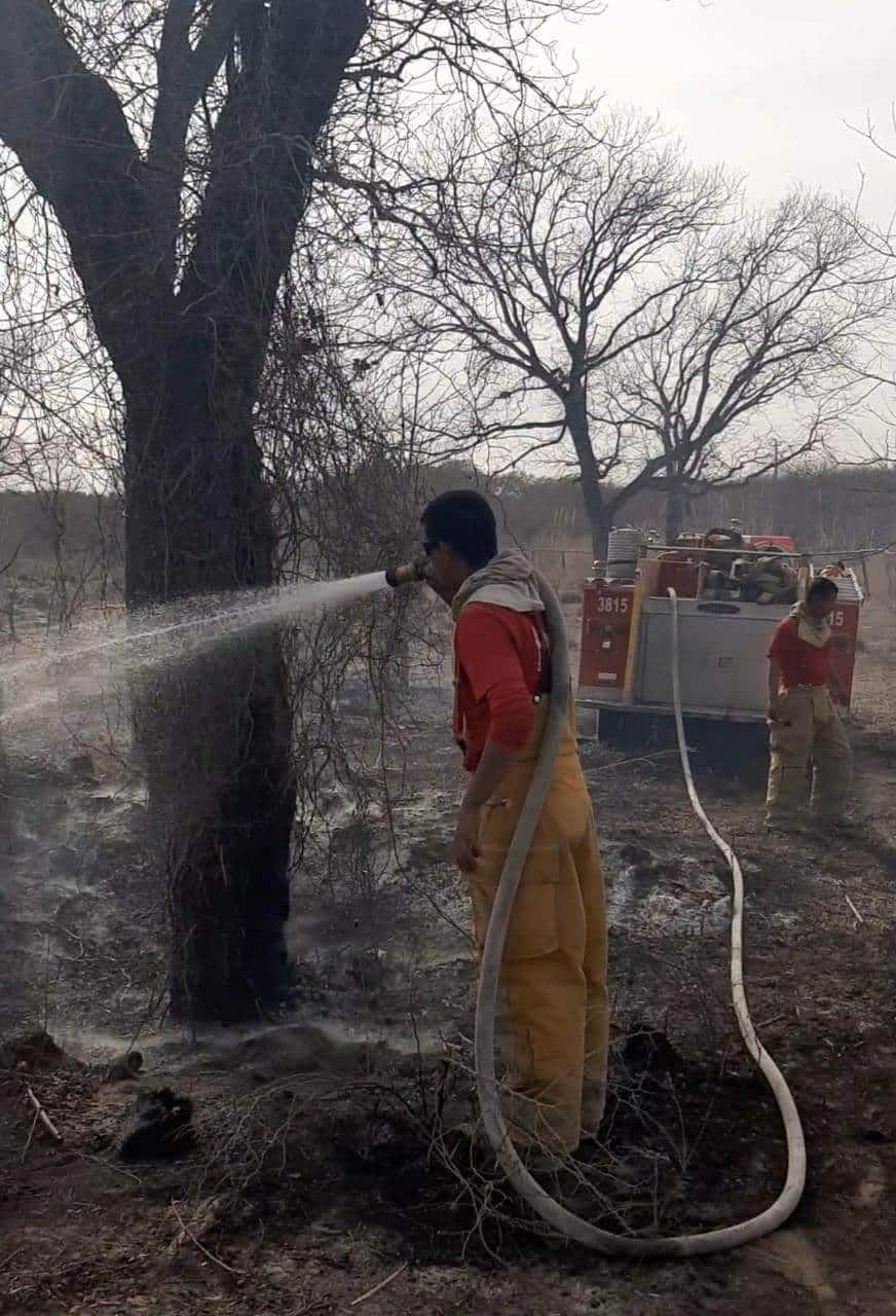 Amplían actividades de la brigada de incendios forestales en Zaragoza