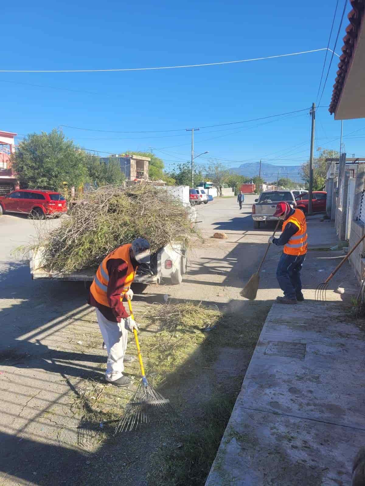 Apoya Frontera la limpieza de Castaños