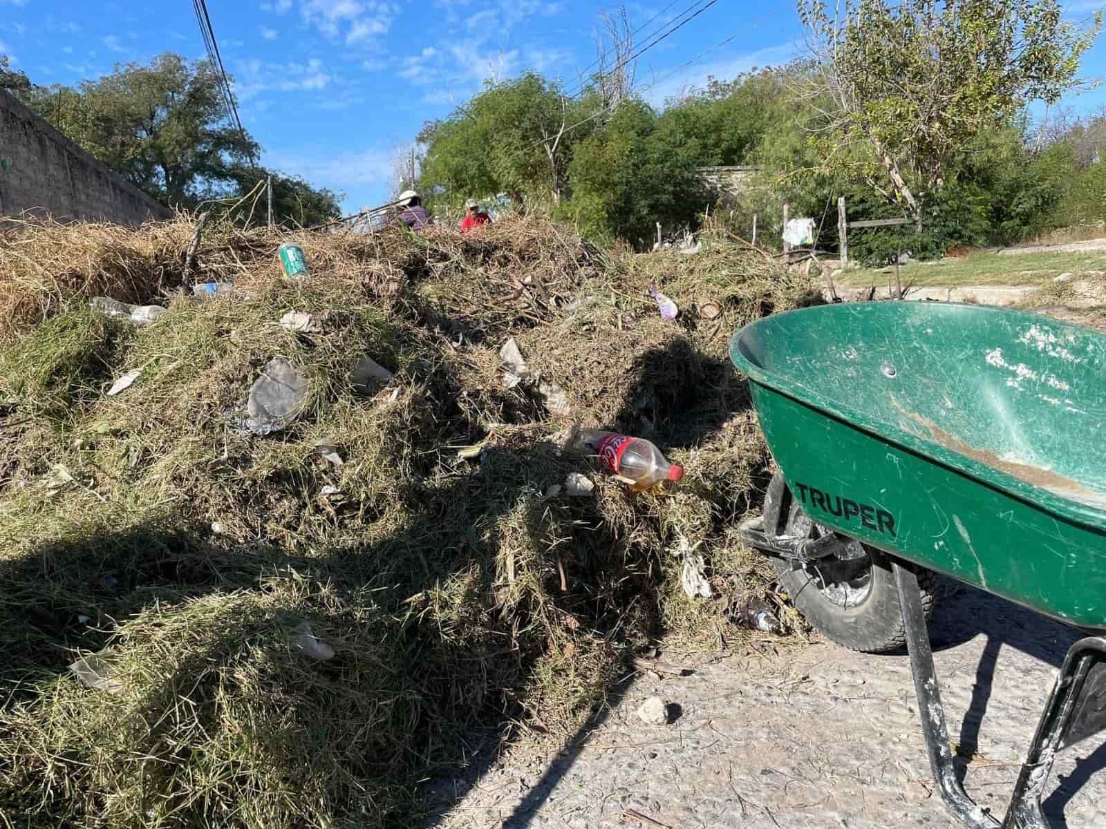 ¡A LIMPIAR! Inician actividades de recolección de hojas de árboles y maleza en Allende