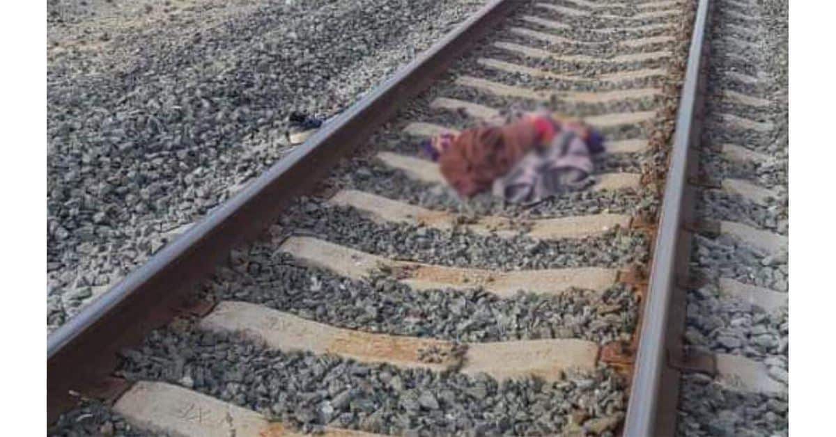 Identifican cadáver de migrante