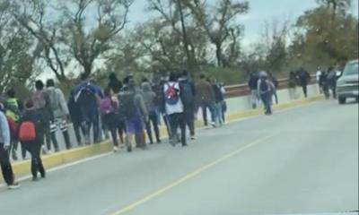 NUEVAMENTE hoy cruzaron CIENTOS de migrantes por el municipio