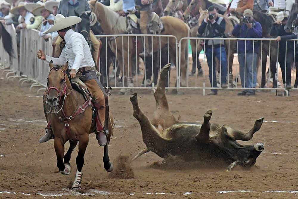 Destacó Asociación de Charros de Coahuila Destacó Asociación de Charros de Coahuila