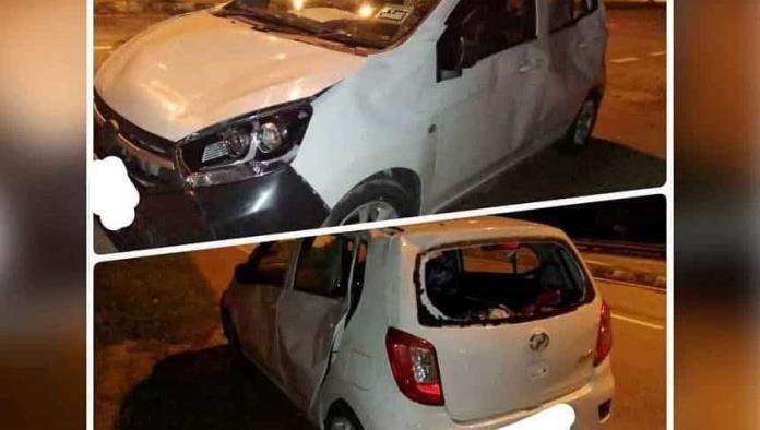 Manada de elefantes golpea auto que atropelló a una cría en Malasia