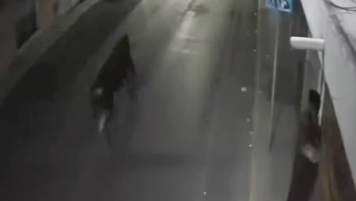 Se escapa toro en calles de Pachuca